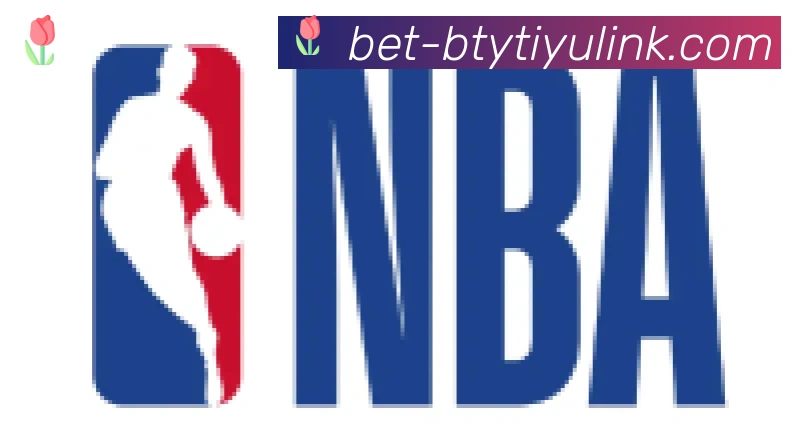 B体育官网合作伙伴